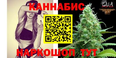 стаф Моздок