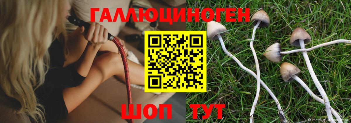 Галлюциногенные грибы Psilocybe  Вход с VPN  Улан-Удэ  Псилоцибиновые грибы GOLDEN TEACHER 